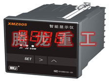溫度表、數(shù)字顯示儀、濕度表