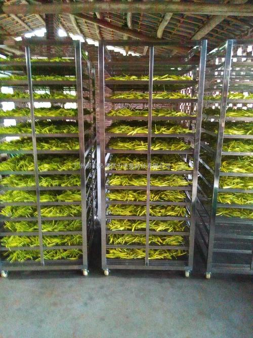 黃花菜烘干機、黃花菜烘干設備、黃花菜干燥機、黃花菜干燥設備、